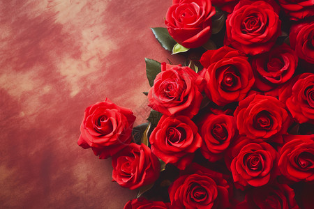 浪漫红玫瑰背景图片