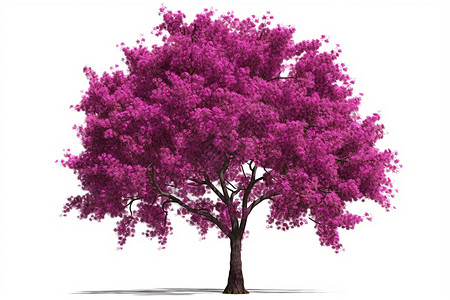 一树紫花背景图片