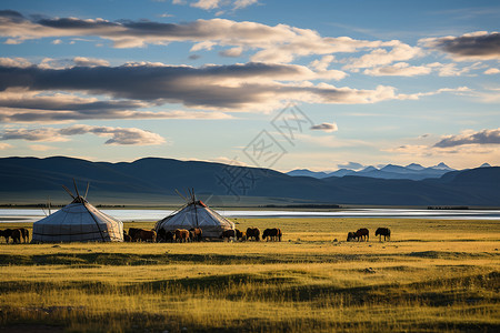 田野上的蒙古包图片