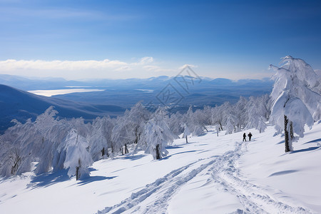 冰雪世界探险图片