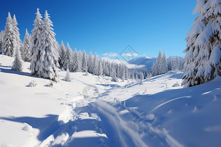 白雪皑皑的山脉图片