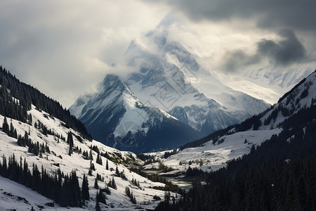 枫叶谷枫叶飘雪山间白云背景