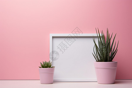 粉色静物植物图片
