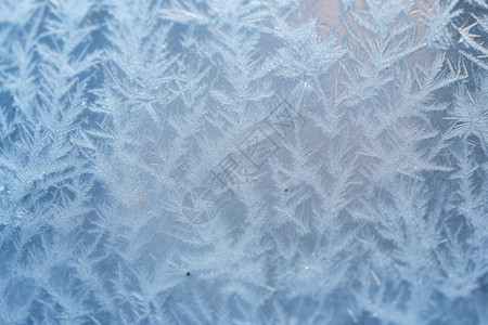 冰雪王国图片