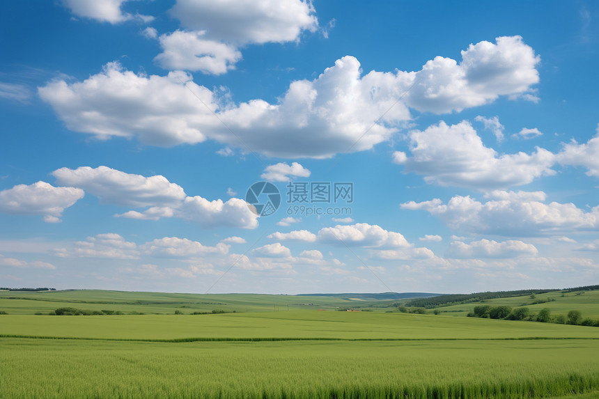 蓝天白云的农田图片