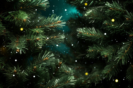 圣诞气氛中的绿色圣诞树背景