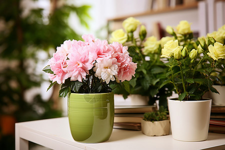 桌面上盛开的花卉背景图片