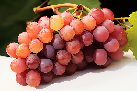 新鲜的葡萄水果图片