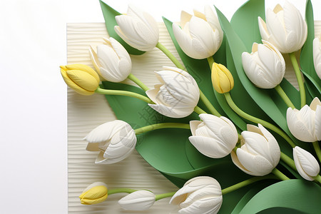 白色郁金香花束图片