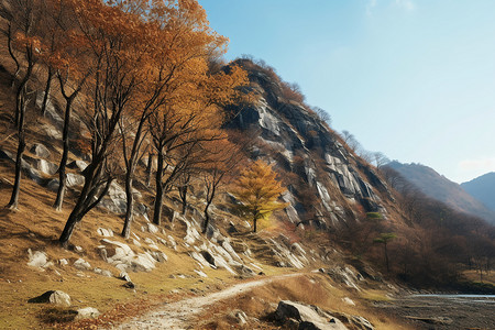美丽的山谷秋景图片
