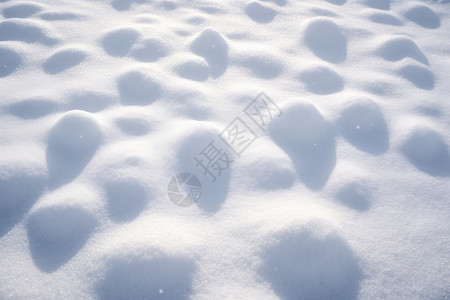 阳光下的雪地背景