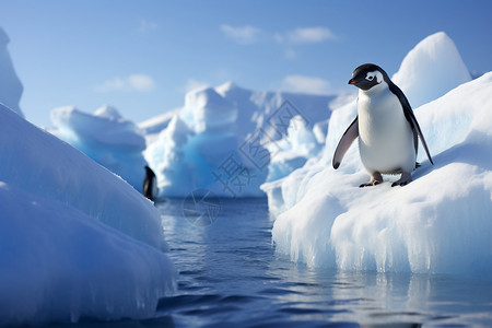 企鹅在冰山上站立图片