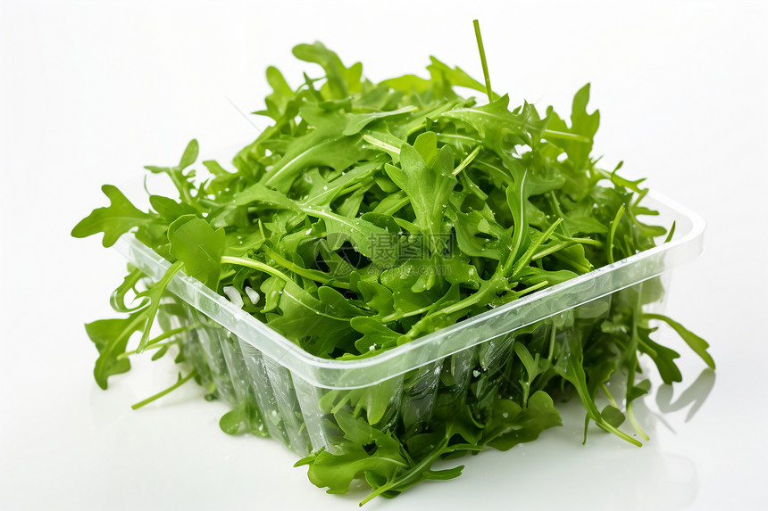 营养食品绿叶沙拉图片