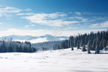 森林雪地冬日蓝天下的雪山风景背景