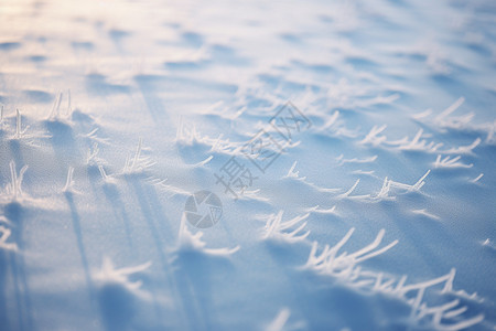 唯美的冬日雪地图片