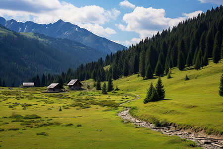 郁郁葱葱的山谷树林景观夏季高清图片素材