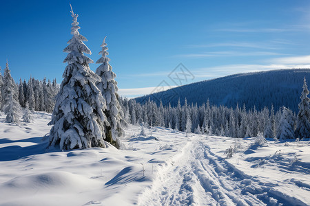 寒冷的雪山景观图片