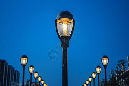 城市的路灯背景图片