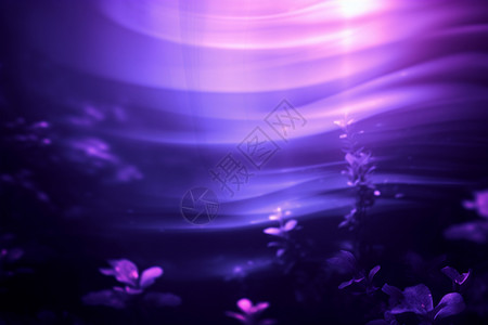 科幻的紫色背景背景图片