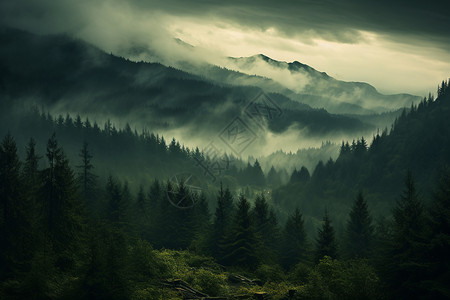 雨后山林的美丽景观夏季高清图片素材