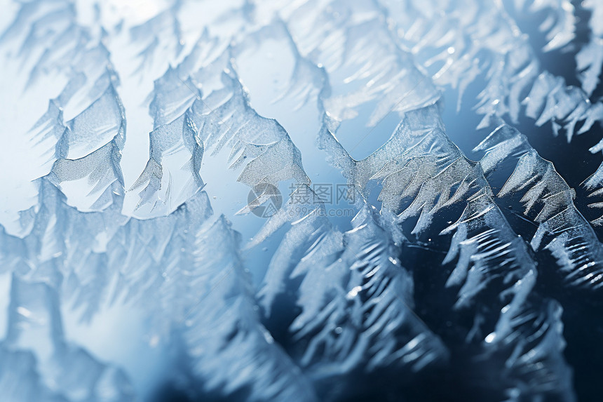 冰雪中的美景图片