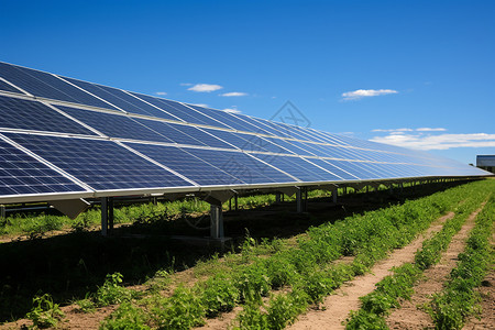 田地的太阳能发电板图片