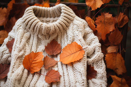 秋日保暖的毛线衣高清图片