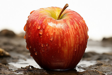 营养丰富的苹果水果图片