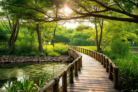 公园河面上的木桥图片