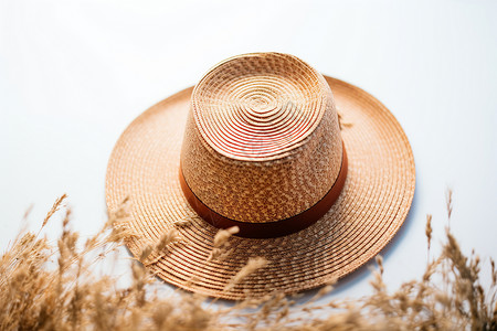 夏天的草帽图片