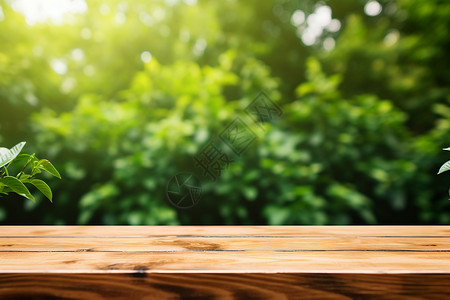 树林中的木质桌面背景图片