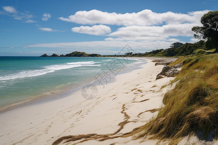 蔚蓝海水的海滩景观背景图片