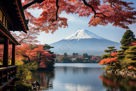 日本红叶日本秋天的富士山背景