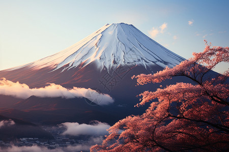 寒冷中的富士山背景图片