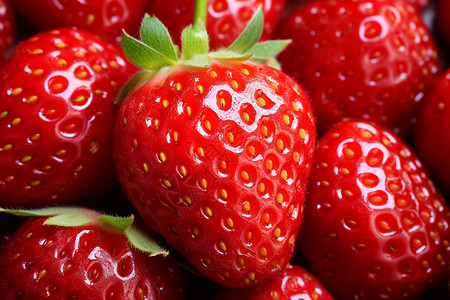 草莓果实诱人红宝石背景