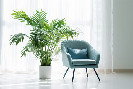 室内绿植与窗前的椅子背景图片