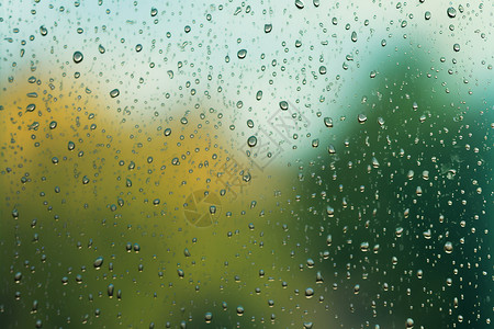 雨滴中的秋意背景图片