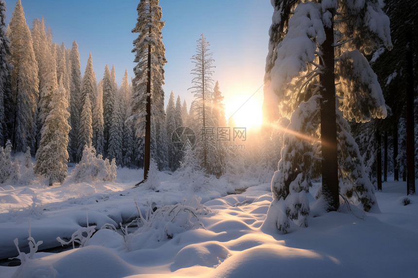 冬日山林之美图片