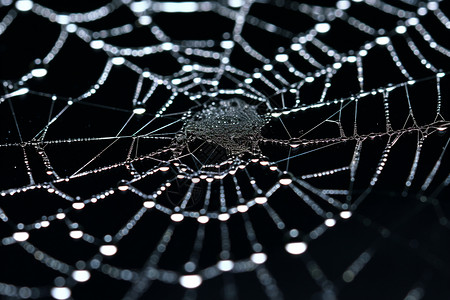 蜘蛛网雨滴雨后蜘蛛网的特写镜头背景