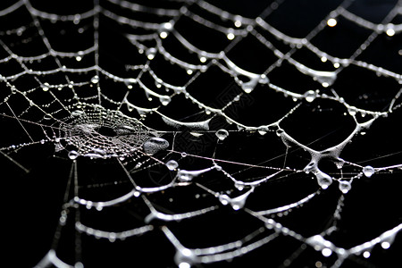 夜晚沾满雨滴的蜘蛛网背景图片