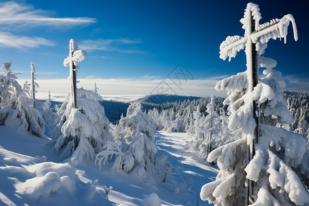 冬季的森林山脉图片
