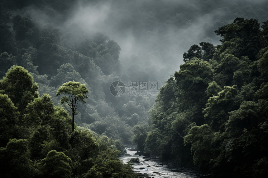 神秘的森林中流过一条河图片