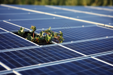 现代新能源太阳能发电板图片