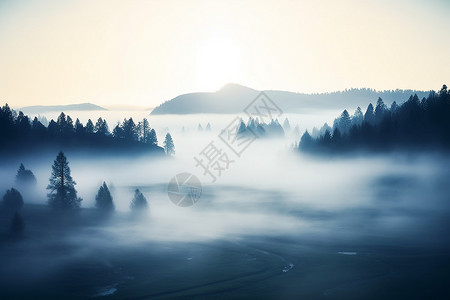 迷雾笼罩的山林图片
