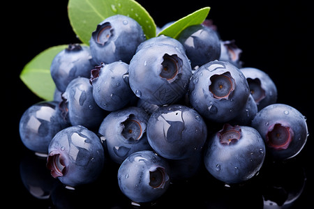 新鲜的蓝莓背景图片