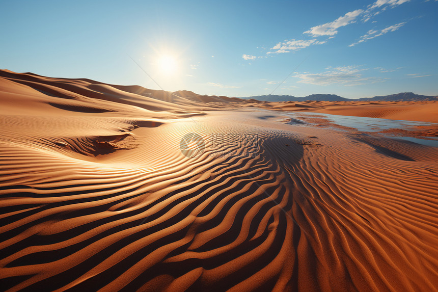 沙漠中的阳光图片