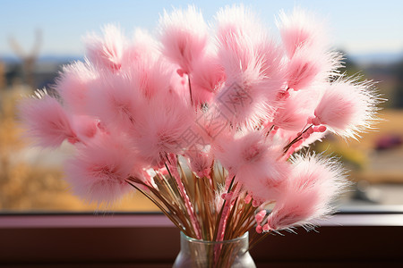 装饰的粉色植物图片