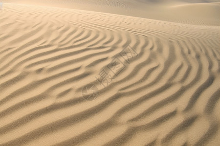 夏天沙漠的波浪图片
