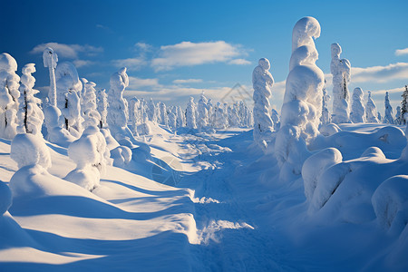 冬日的冰雪世界图片