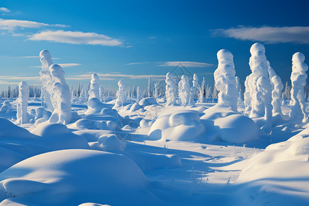 冬季的冰雪景观图片